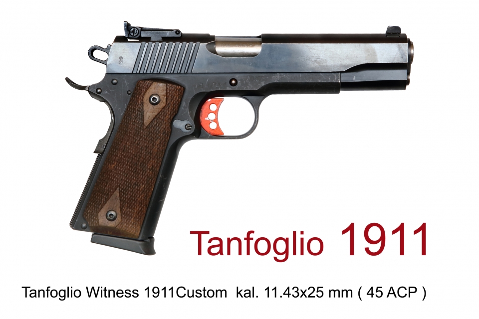 TANFOGLIO WITNESS 1911